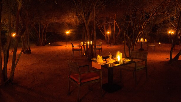 Un espace de restauration en plein air, avec des tables et des chaises, entouré d’arbres et éclairé par une lumière douce.