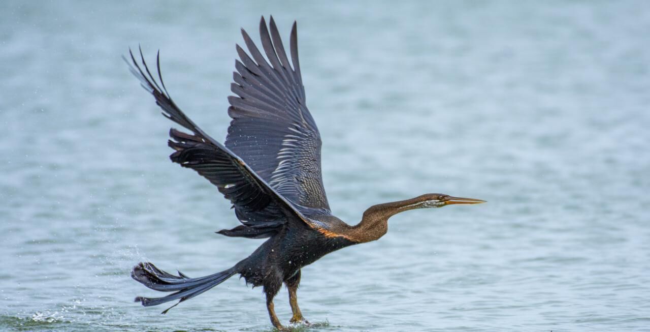 32-inch LED TV with satellite channels, TV, fireplace