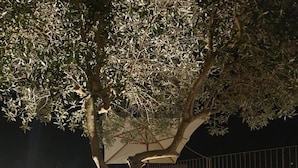 An outdoor patio with a table and chairs, a tree, and a stone wall. - B&B Il Barbero (Siena)