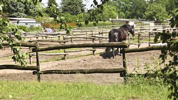 Ein Stall mit einem Pferd darin, umgeben von einem Holzzaun und viel Grün.