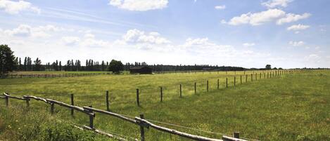 A fenced field with a wooden fence and a line of trees in the background.