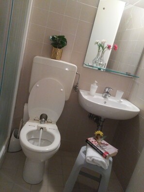 Camera con letto matrimoniale o 2 letti singoli, balcone | Bagno | Doccia, set di cortesia gratuito, asciugacapelli, asciugamani