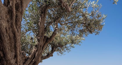 Maris Lindos, Suites and Apartments