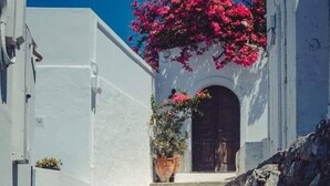 A narrow street with white buildings, a donkey with a saddle, and a potted plant with pink flowers. - Maris Lindos, Suites and Apartments (Rhodes)