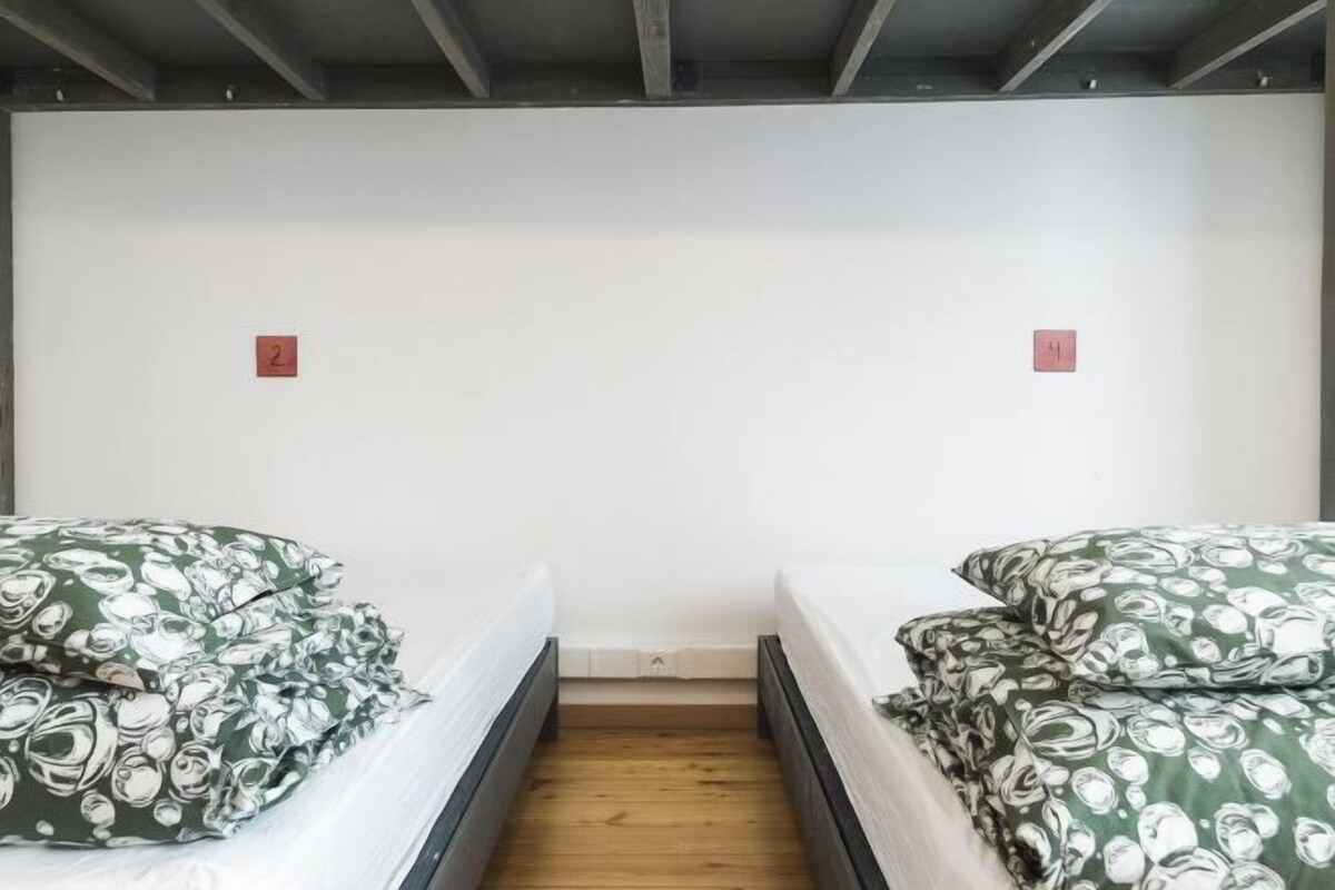 Una habitación pequeña y estrecha con dos camas, cada una con almohadas de estampado floral verde.