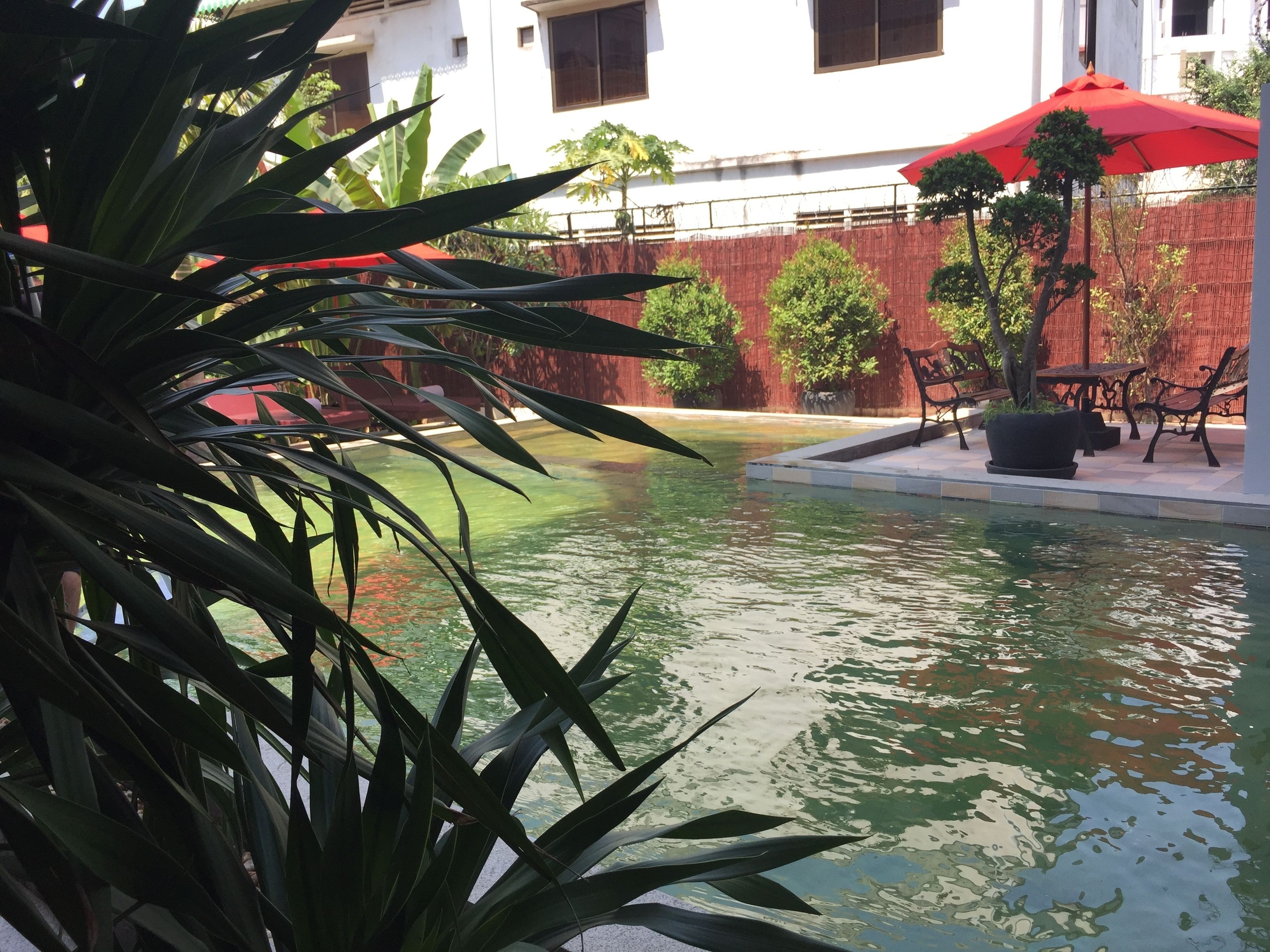 A swimming pool with a red umbrella, surrounded by potted plants and outdoor furniture.