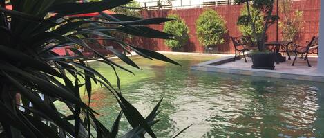 Una piscina con una sombrilla roja, rodeada de macetas y mobiliario de exterior.