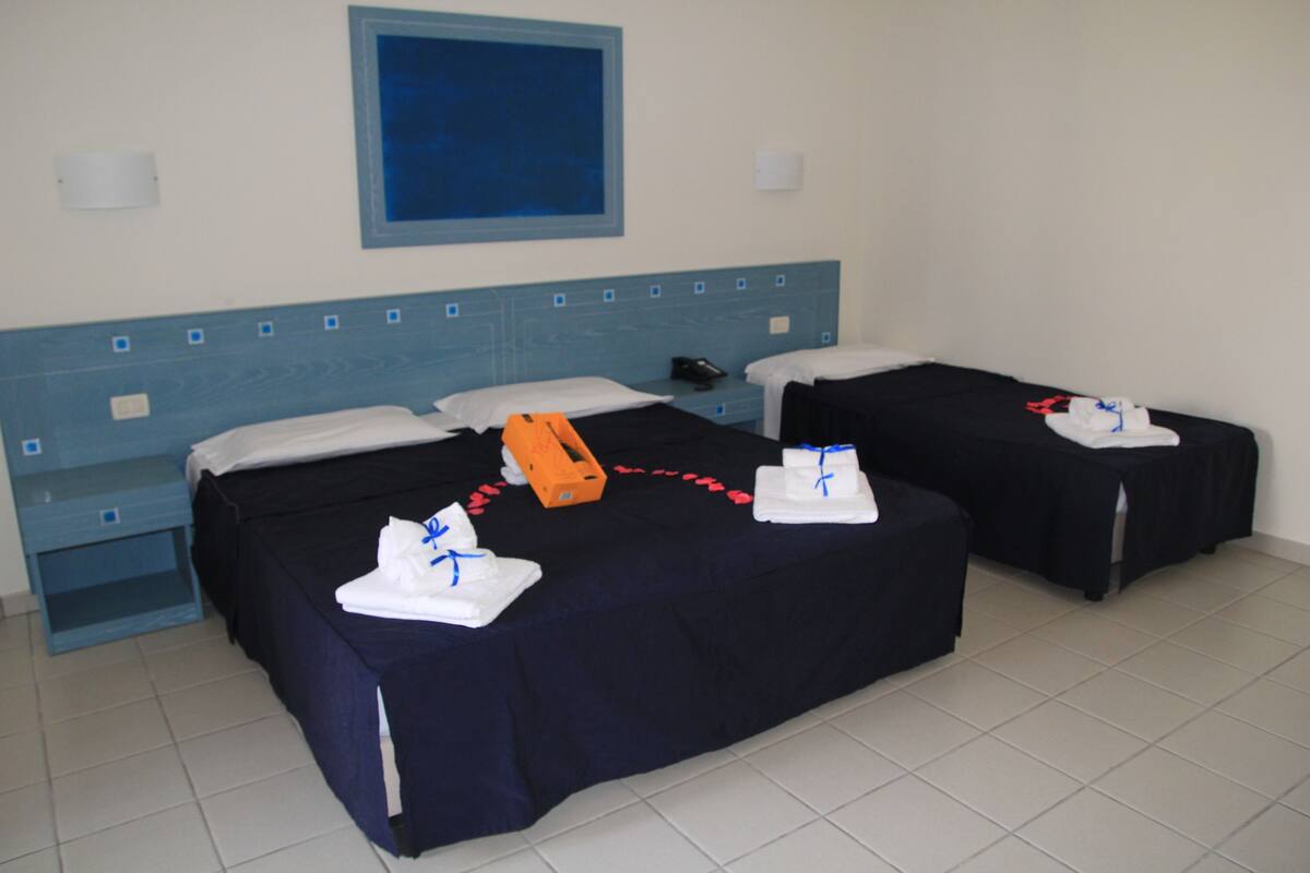 Premium bedding, minibar, desk