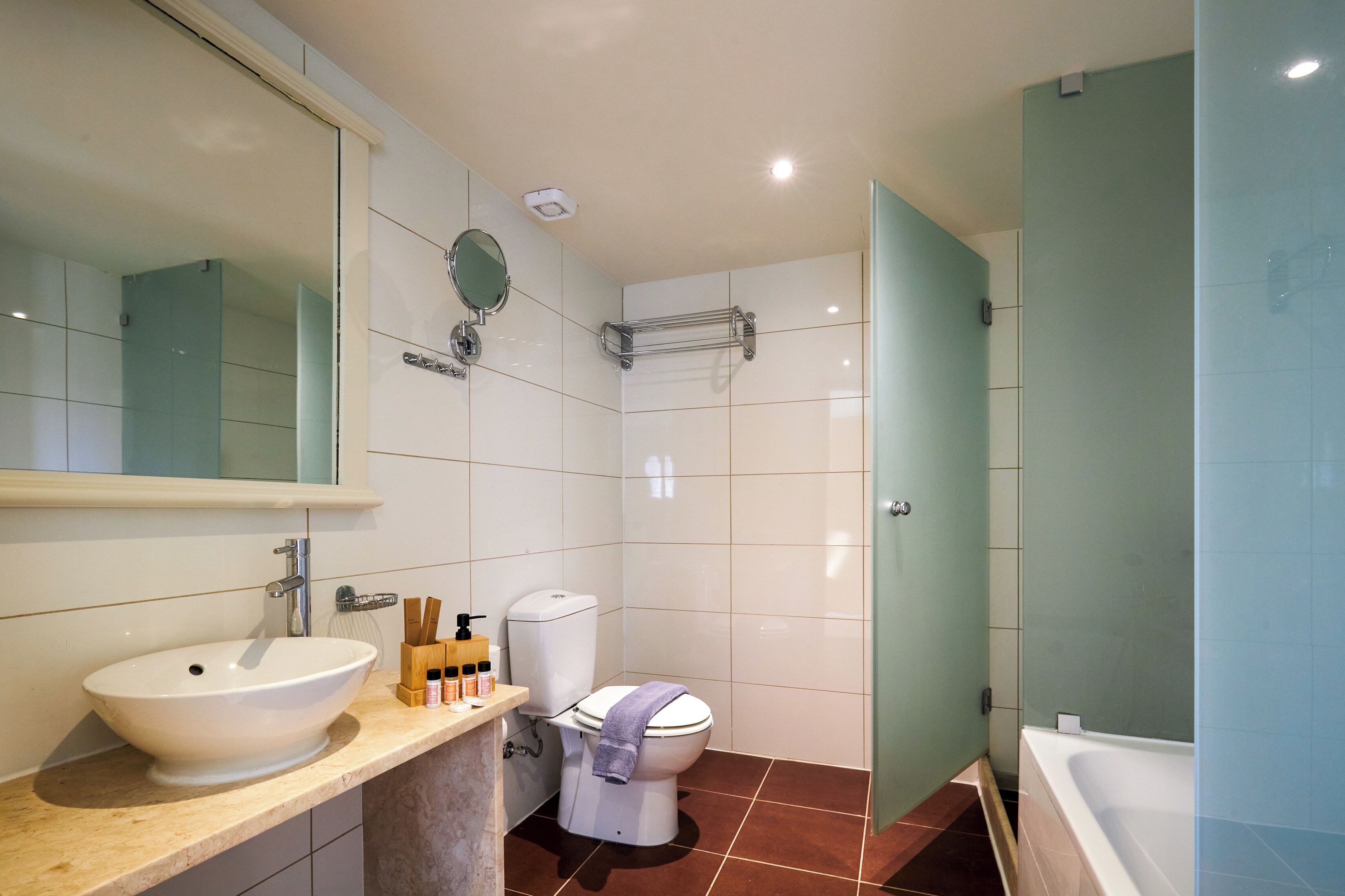 Une salle de bain équipée d’un lavabo, de toilettes, d’un miroir et d’une douche.