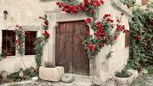 A rustic stone building with a wooden door, potted plants, and climbing red roses. - Sultan Cave Suites (Nevsehir)