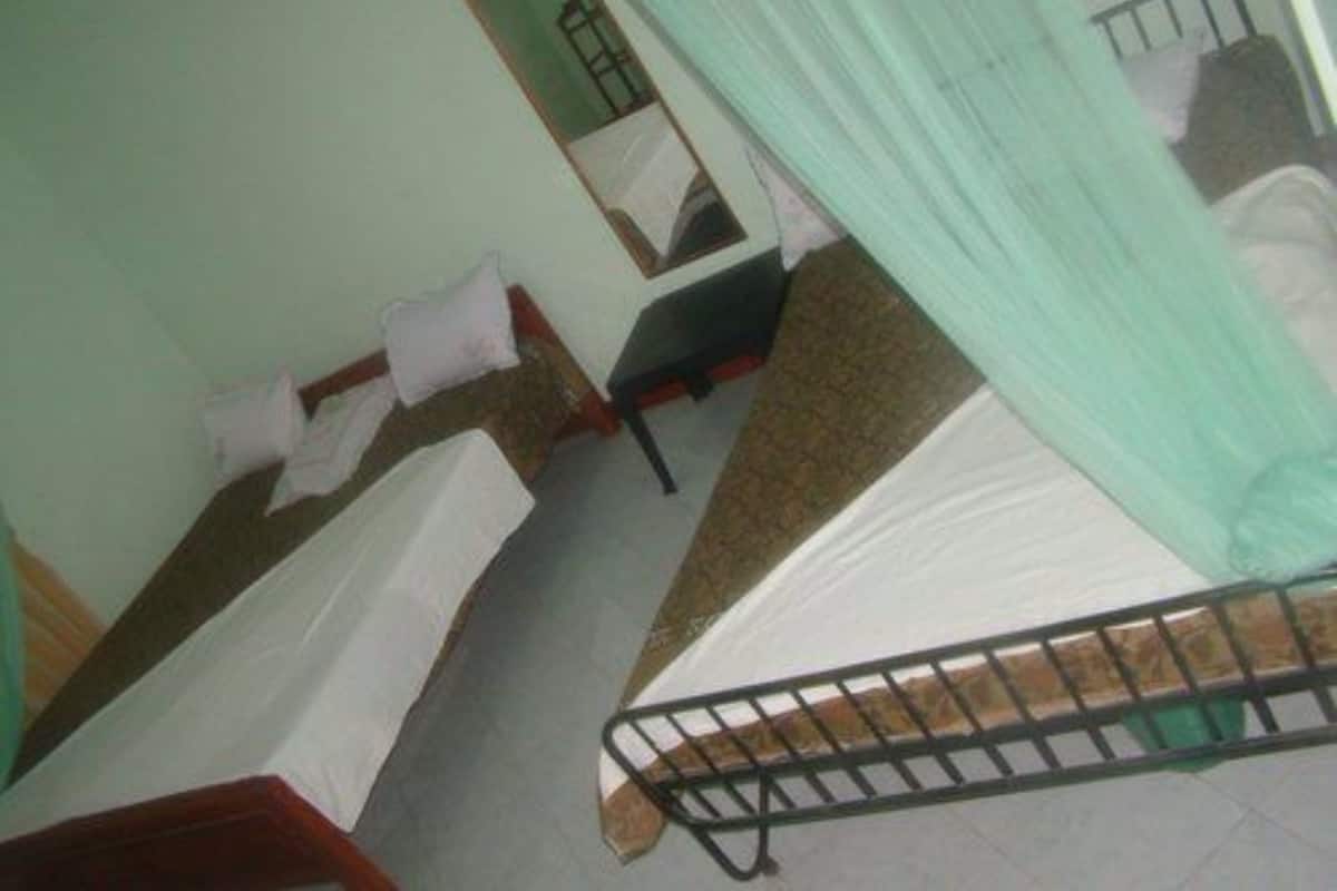 Basic Triple Room, Garden View | Desk, soundproofing, iron/ironing board (on request), WiFi (free)