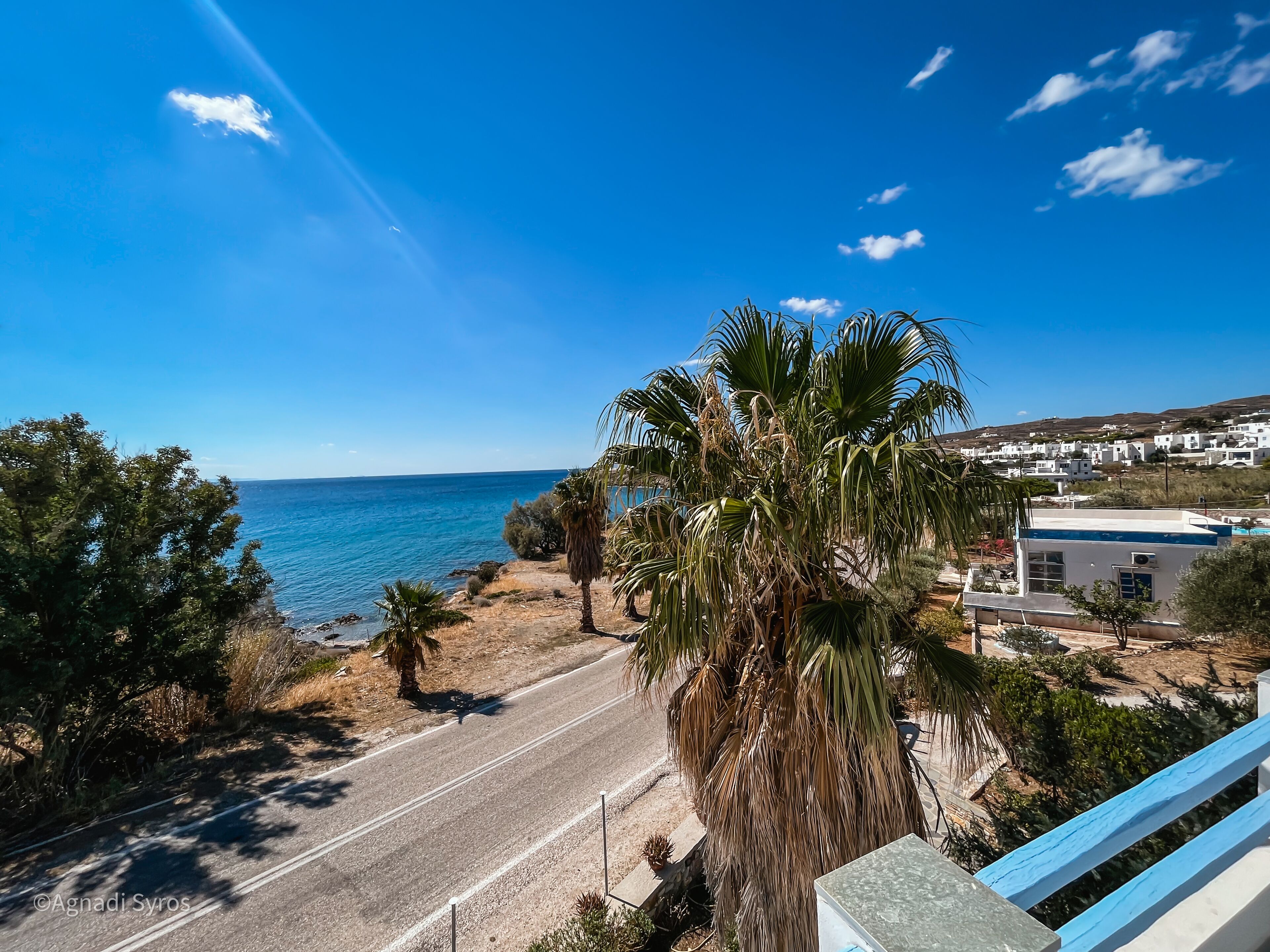 A coastal road with a palm tree and a building with a blue roof.