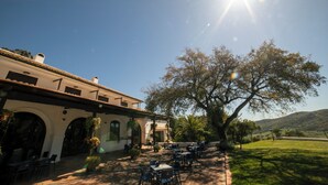 Un bâtiment doté d’une terrasse et abritant un grand arbre.