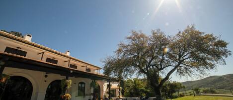 A building with outdoor seating and a large tree.