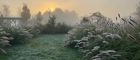 Un jardí brumós amb herbes altes i un porxo de fusta.
