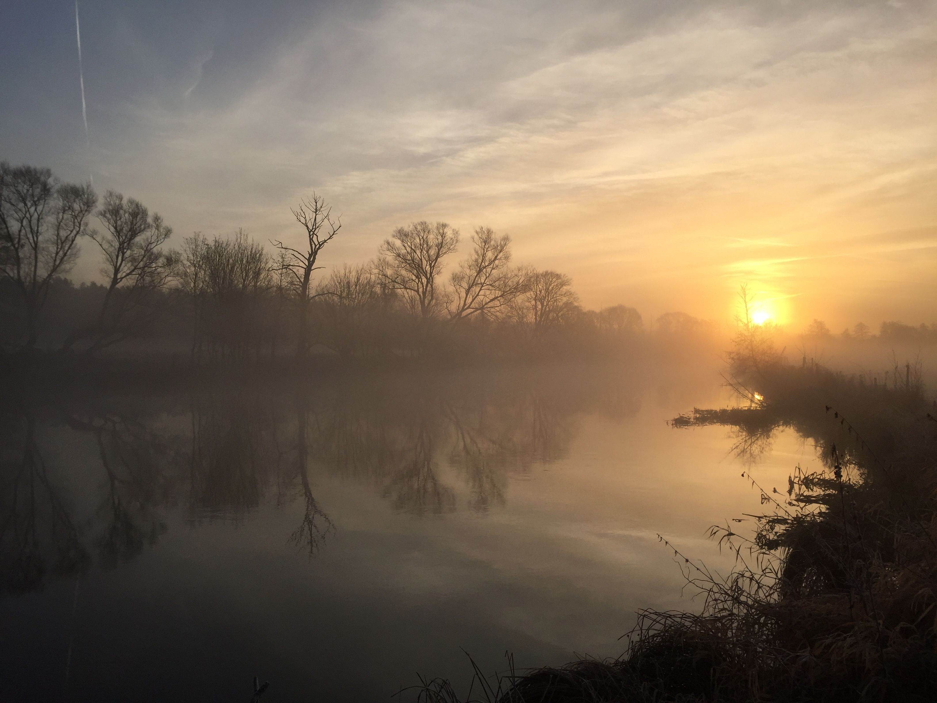 A misty landscape with a calm body of water reflecting trees and a sunrise.
