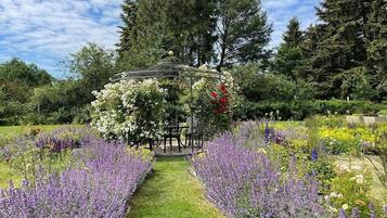 Un jardín con una estructura de pérgola rodeado de lavanda y otras flores.