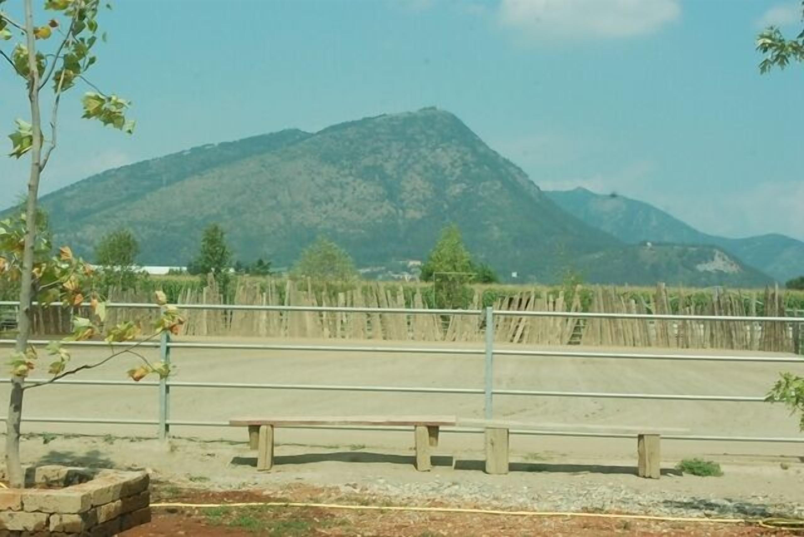 A bench in a rural setting with a mountain in the background.
