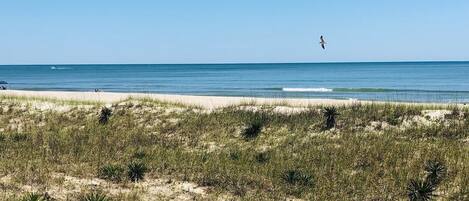 ハウス 2 ベッドルーム | ビーチ | ビーチの近く