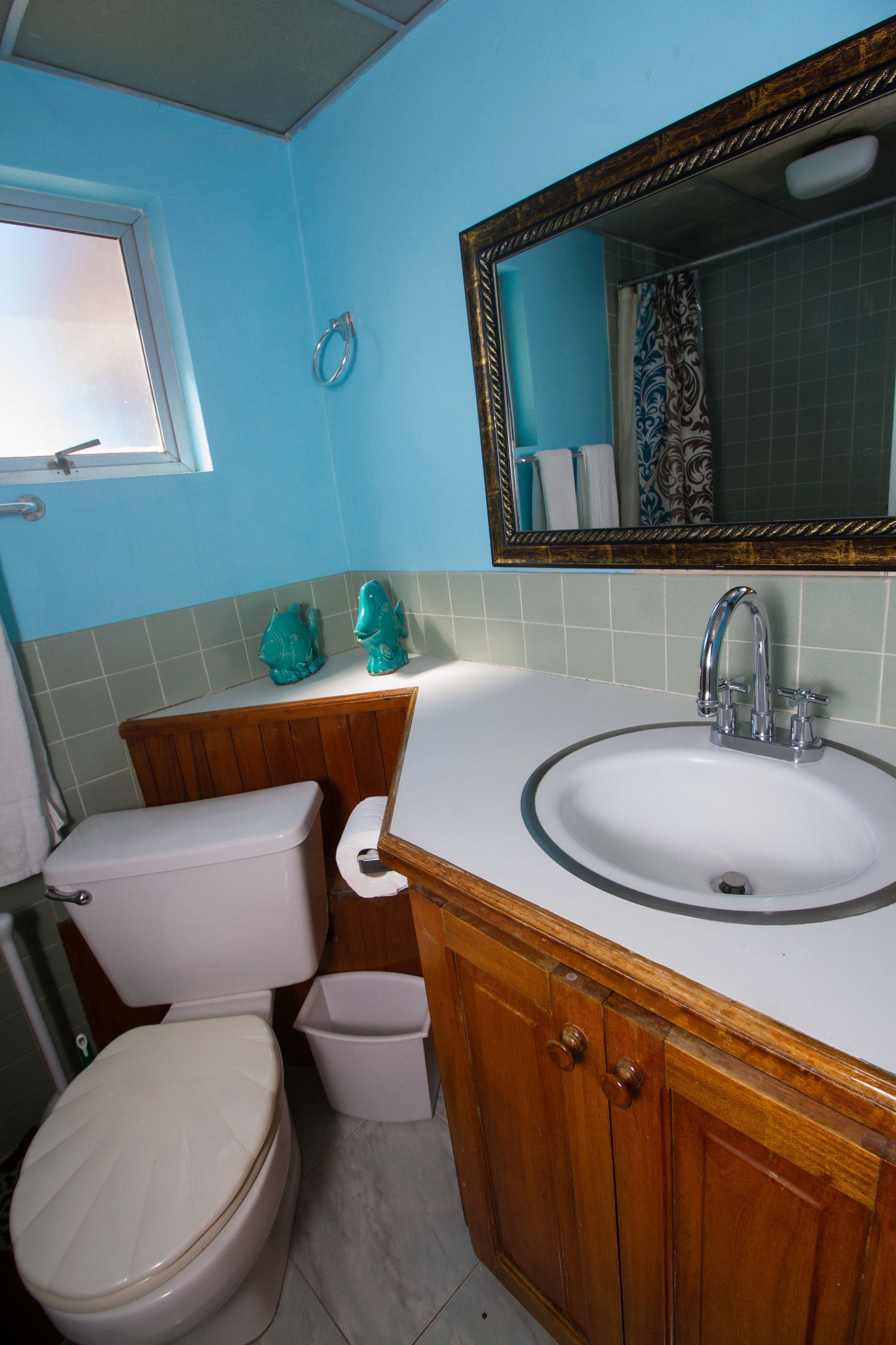 standard apartment, 1 bedroom, ocean view, beachside | bathroom | free toiletries, towels