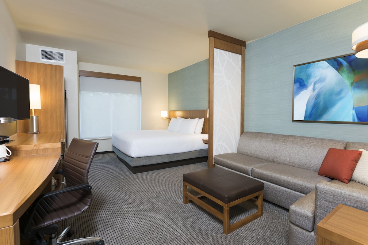 Une chambre d’hôtel comprenant un lit, un canapé, un bureau avec une chaise, une télévision et un tableau au mur.