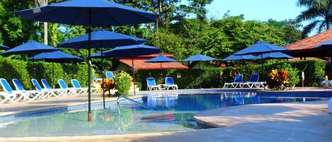 Outdoor pool, sun loungers