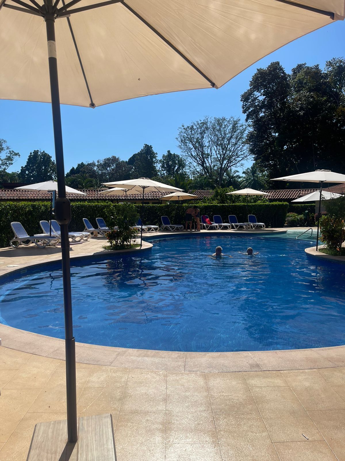 outdoor pool, pool loungers