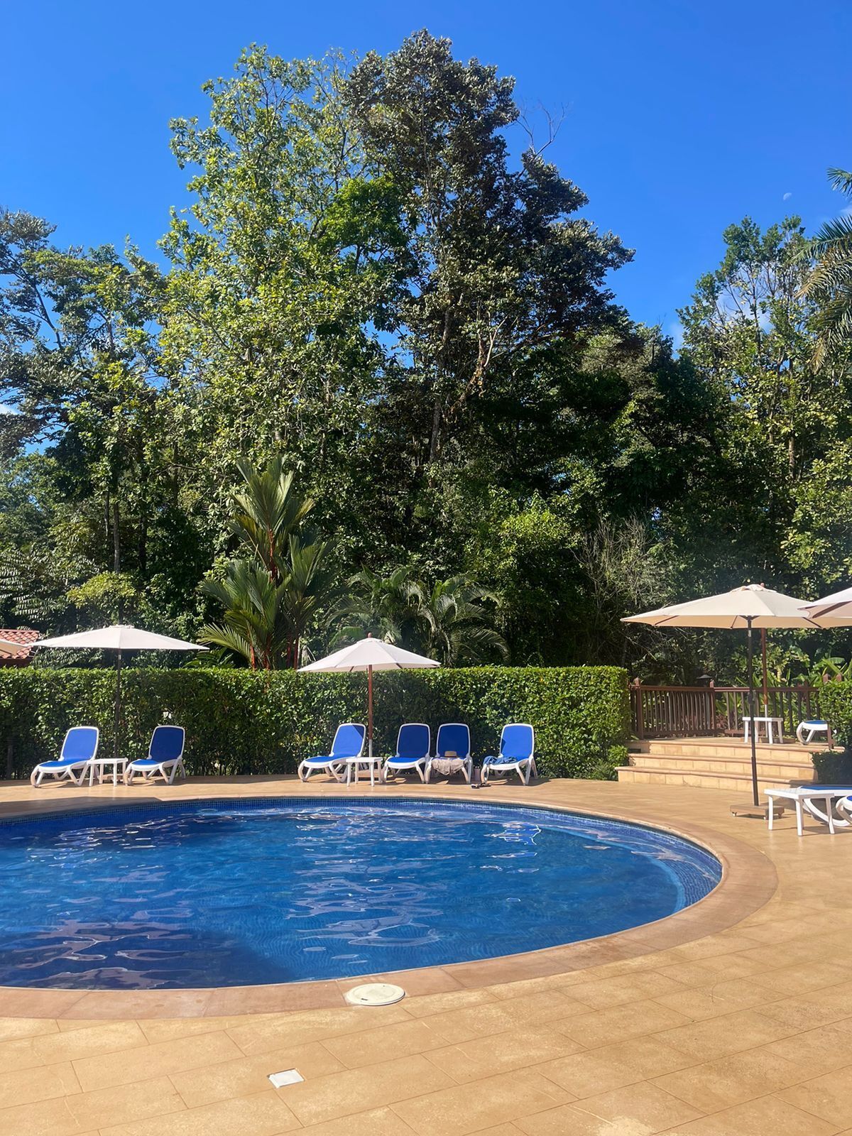 outdoor pool, pool loungers