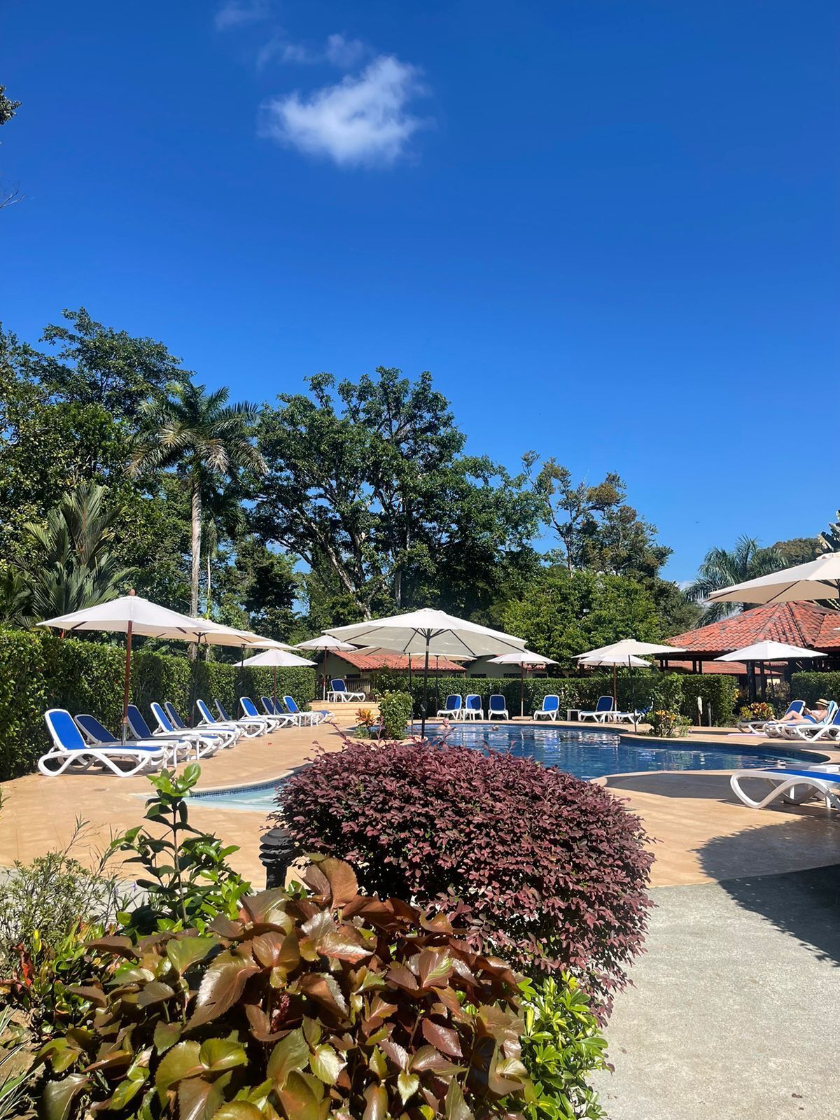 Una piscina al aire libre, tumbonas