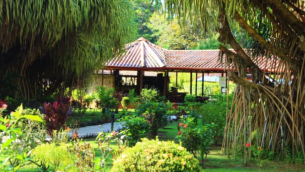 Un gazebo con tetto in tegole circondato da vegetazione lussureggiante e diverse piante.