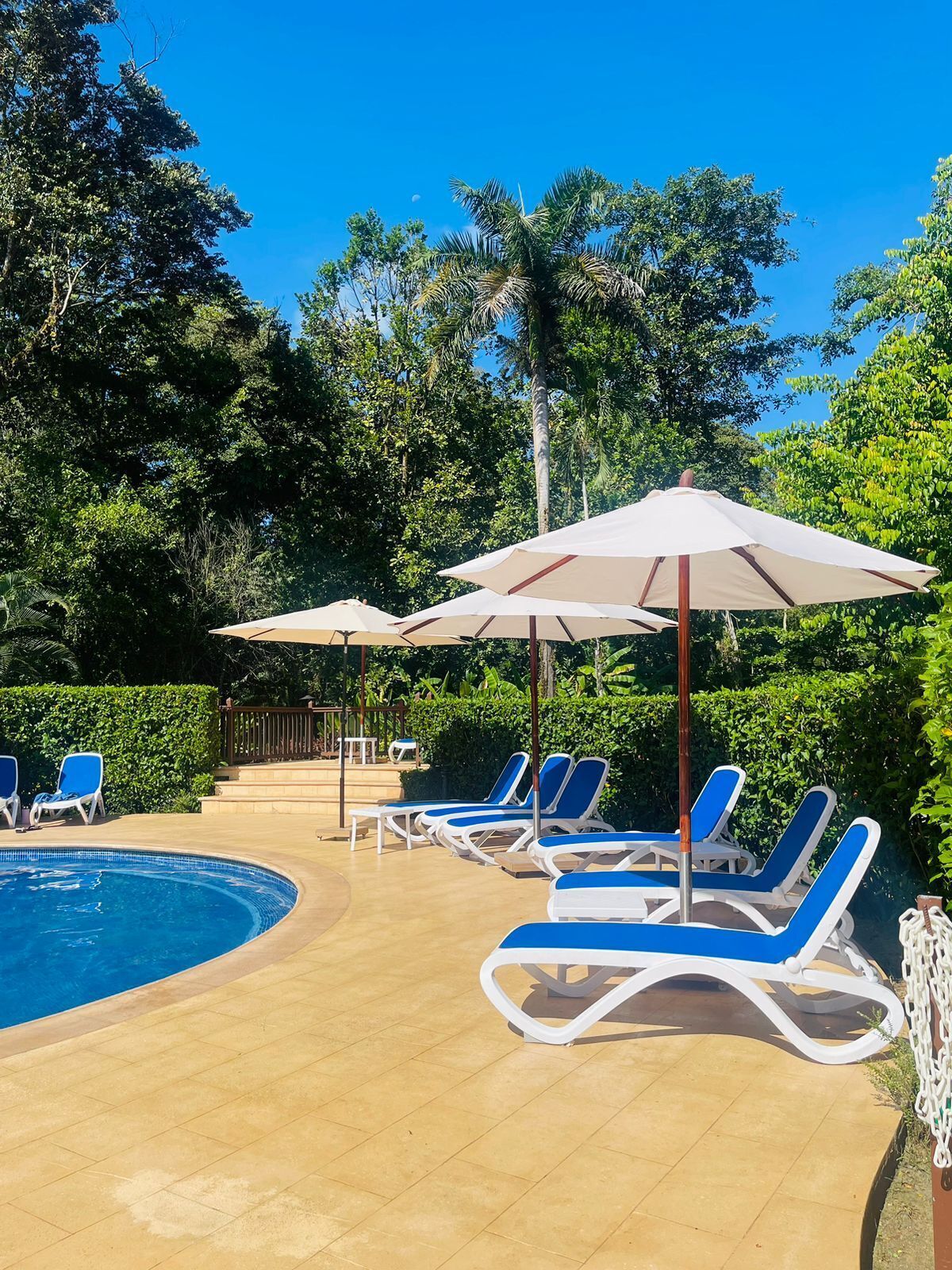 야외 수영장, 일광욕 의자