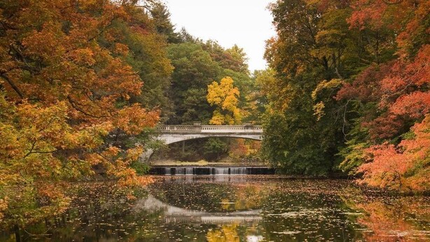 A stone bridge over a calm river surrounded by autumn foliage. - Journey Inn Bed & Breakfast (Hyde Park)