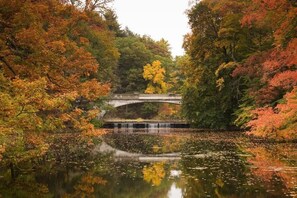 A stone bridge over a calm river surrounded by autumn foliage. - Journey Inn Bed & Breakfast (Hyde Park)