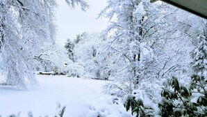 A snowy landscape with trees and a bench. - Journey Inn Bed & Breakfast (Hyde Park)