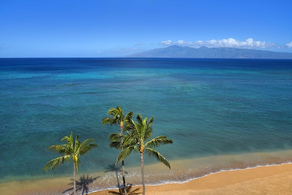 Condo, 2 Bedrooms | Beach | On the beach - Valley Isle #808 2 Bedroom Condo by RedAwning (Lahaina)