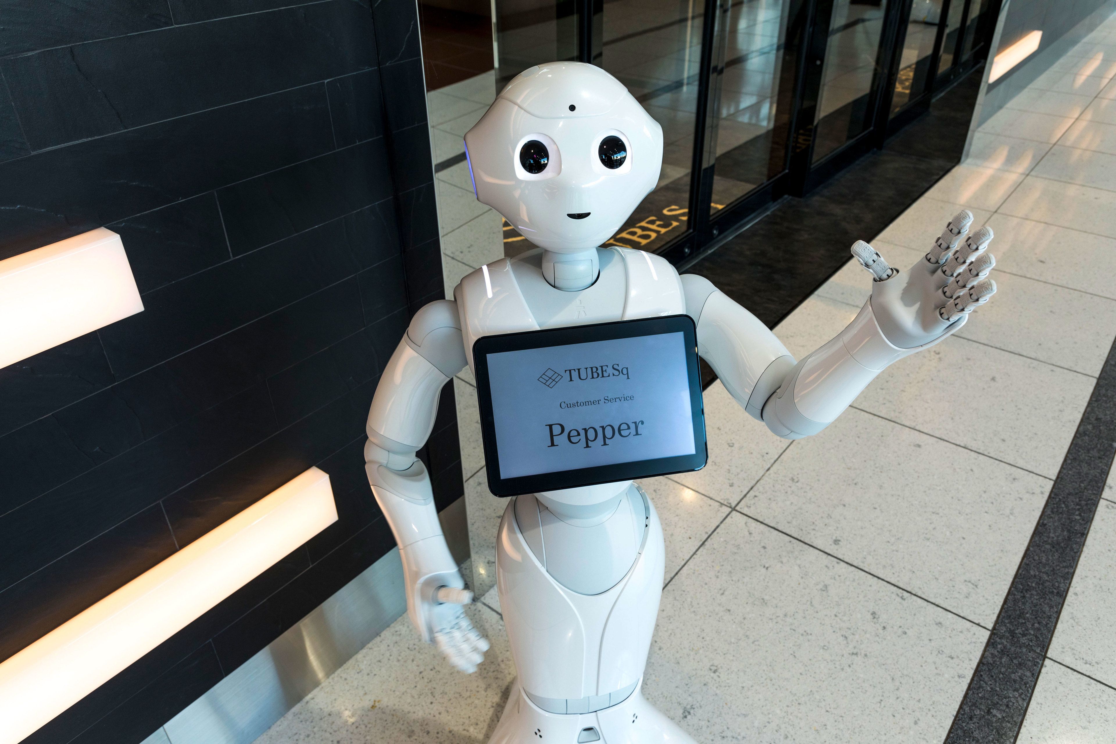 منطقة الاستقبال