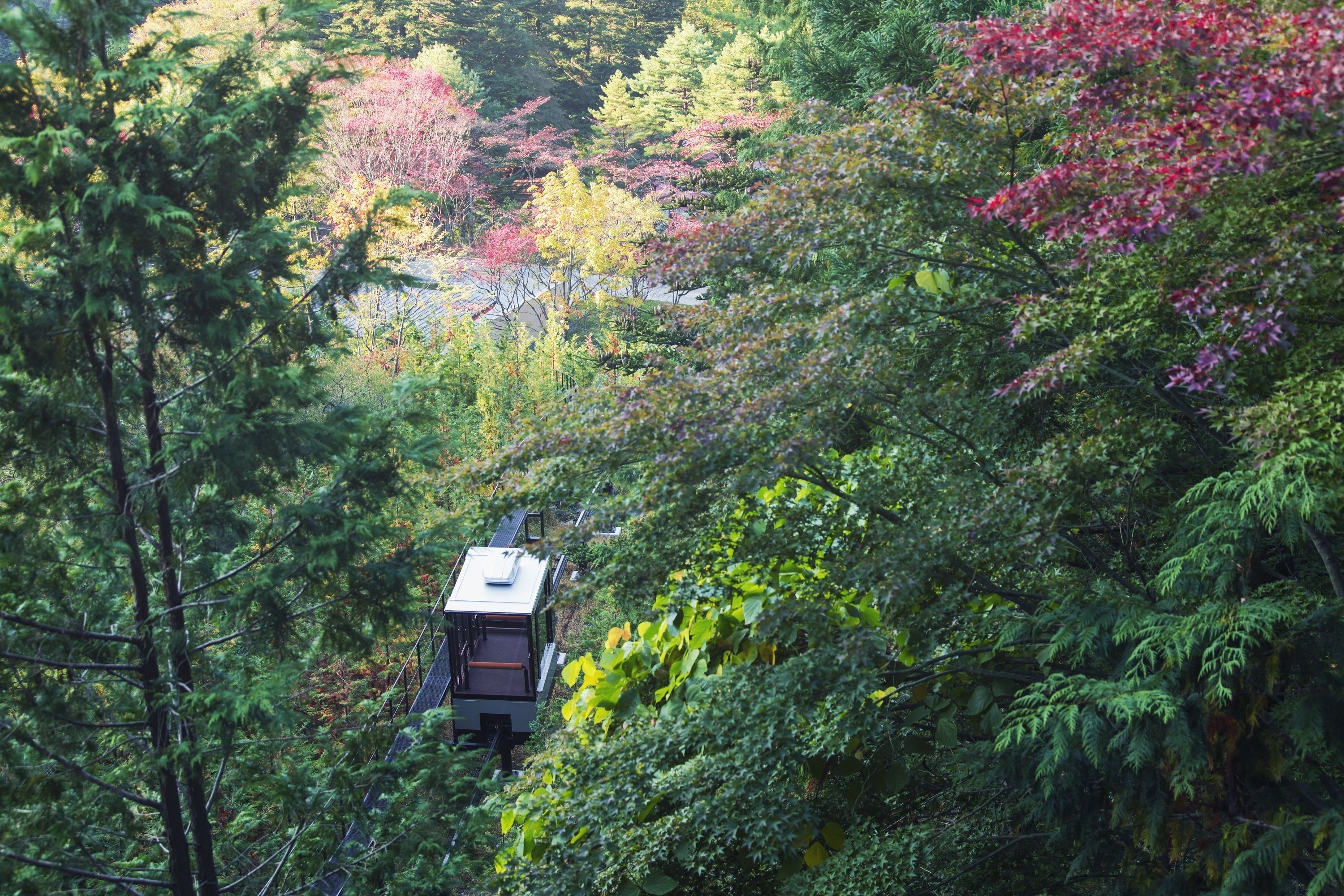 住宿景觀