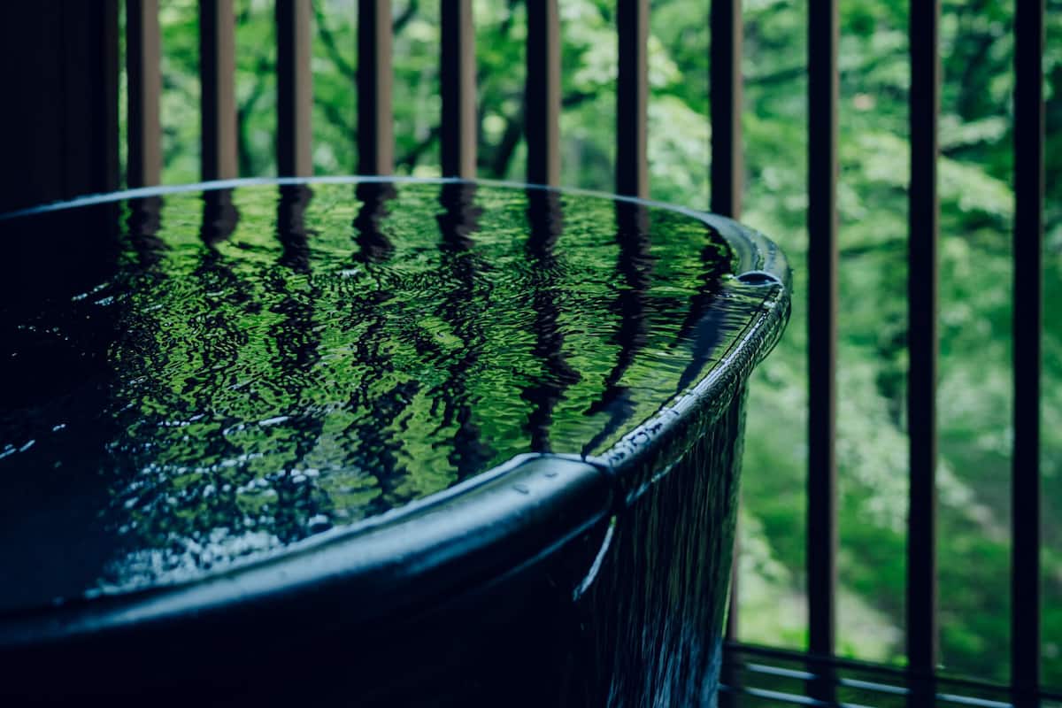 A window with vertical bars, a black bathtub, and a view of dense green foliage.