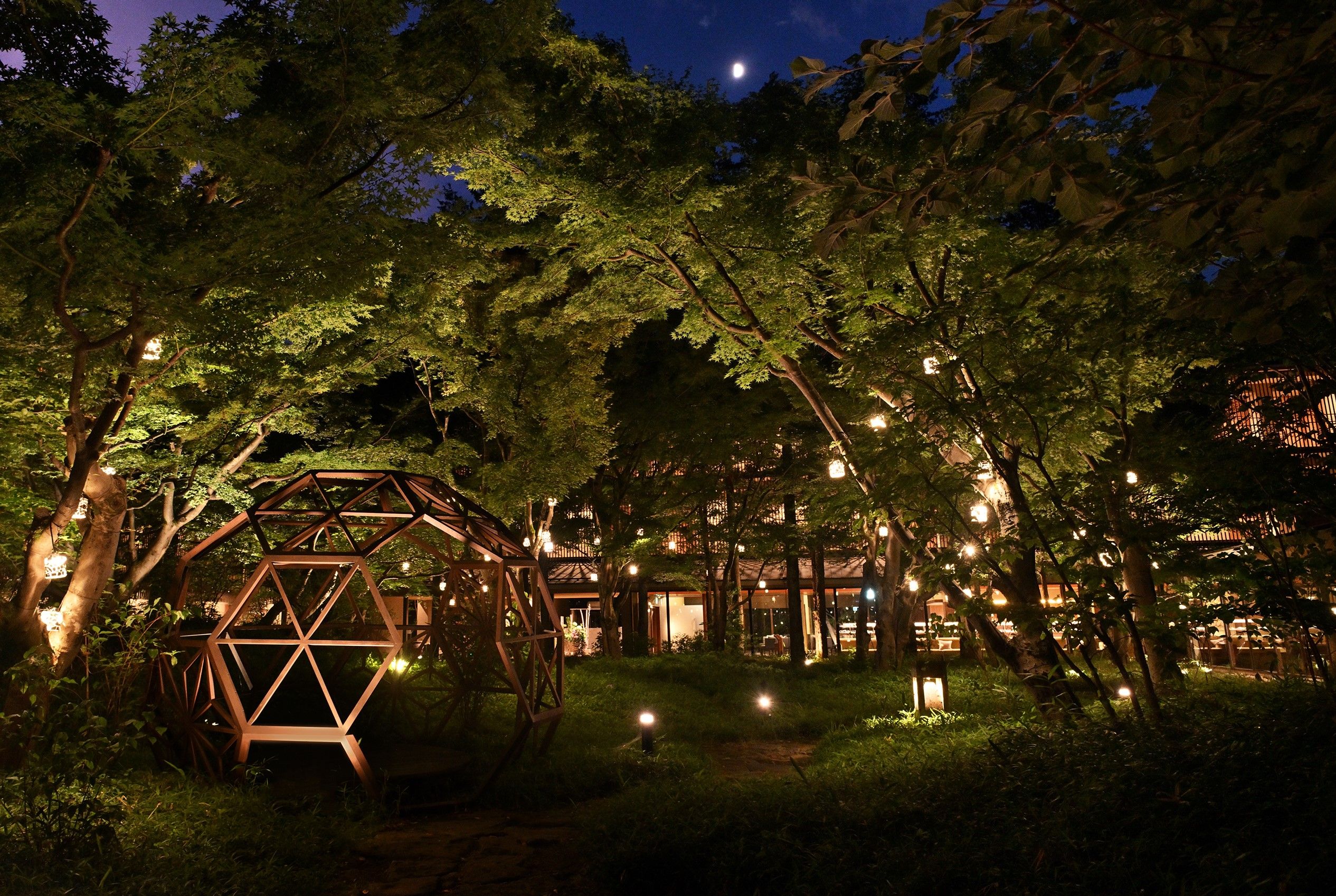 A nighttime scene with a geodesic dome structure surrounded by trees and illuminated by string lights.