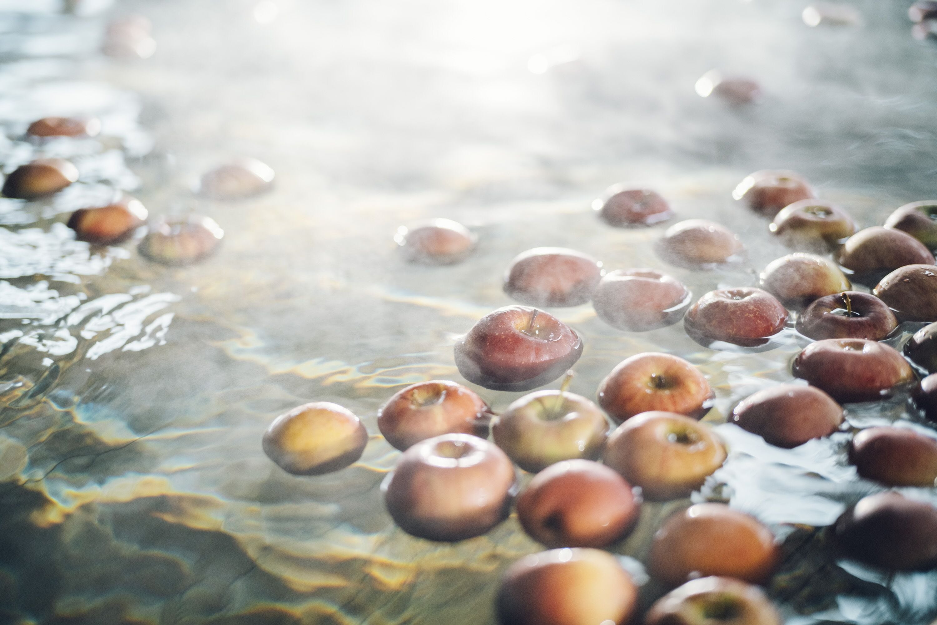 Äpfel schwimmen im Wasser.
