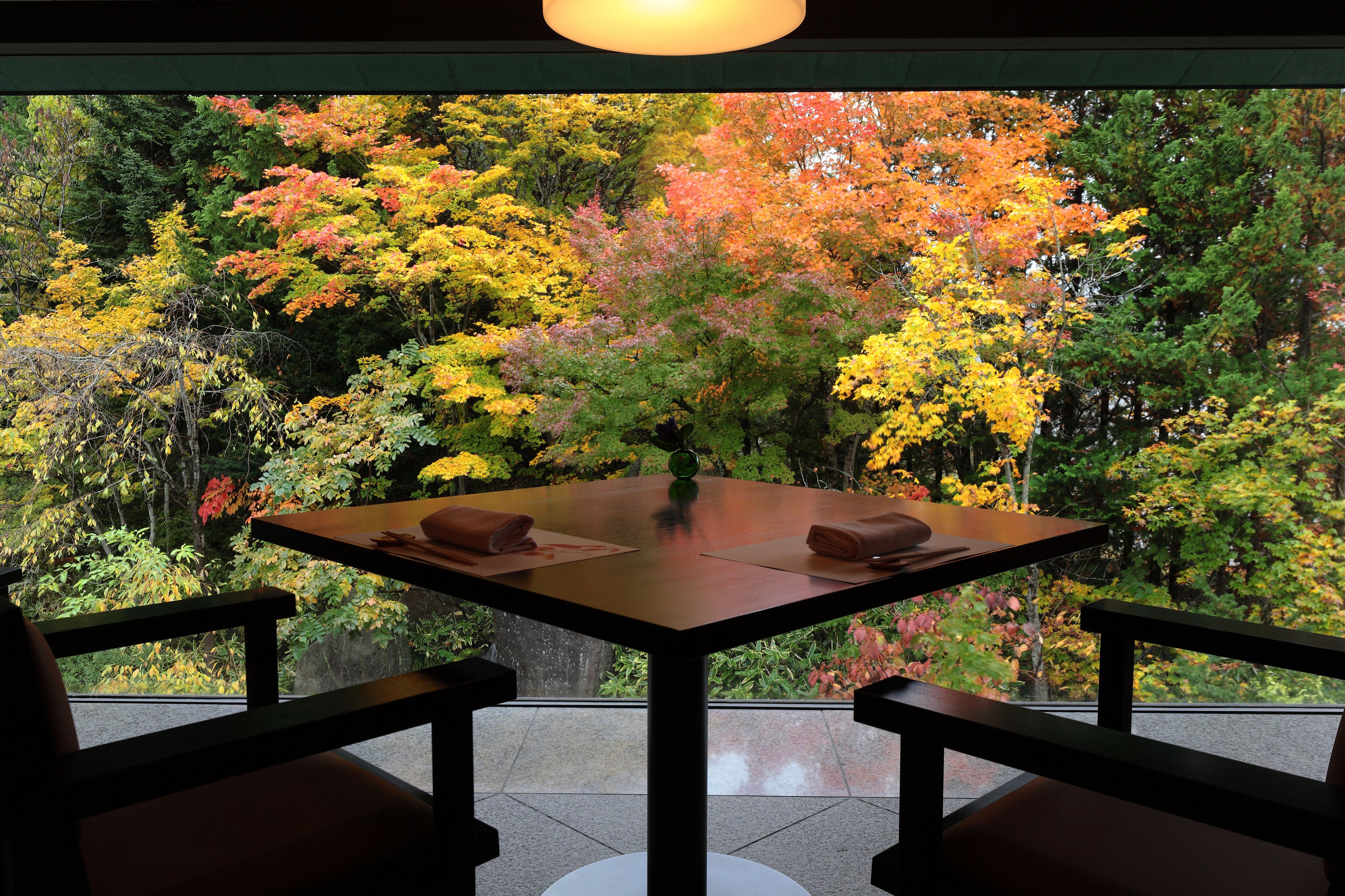 A dining table with chairs, set against a backdrop of autumn foliage.