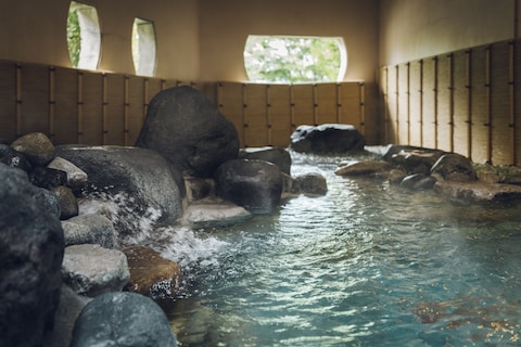 星野リゾート 界 日光(写真 2)