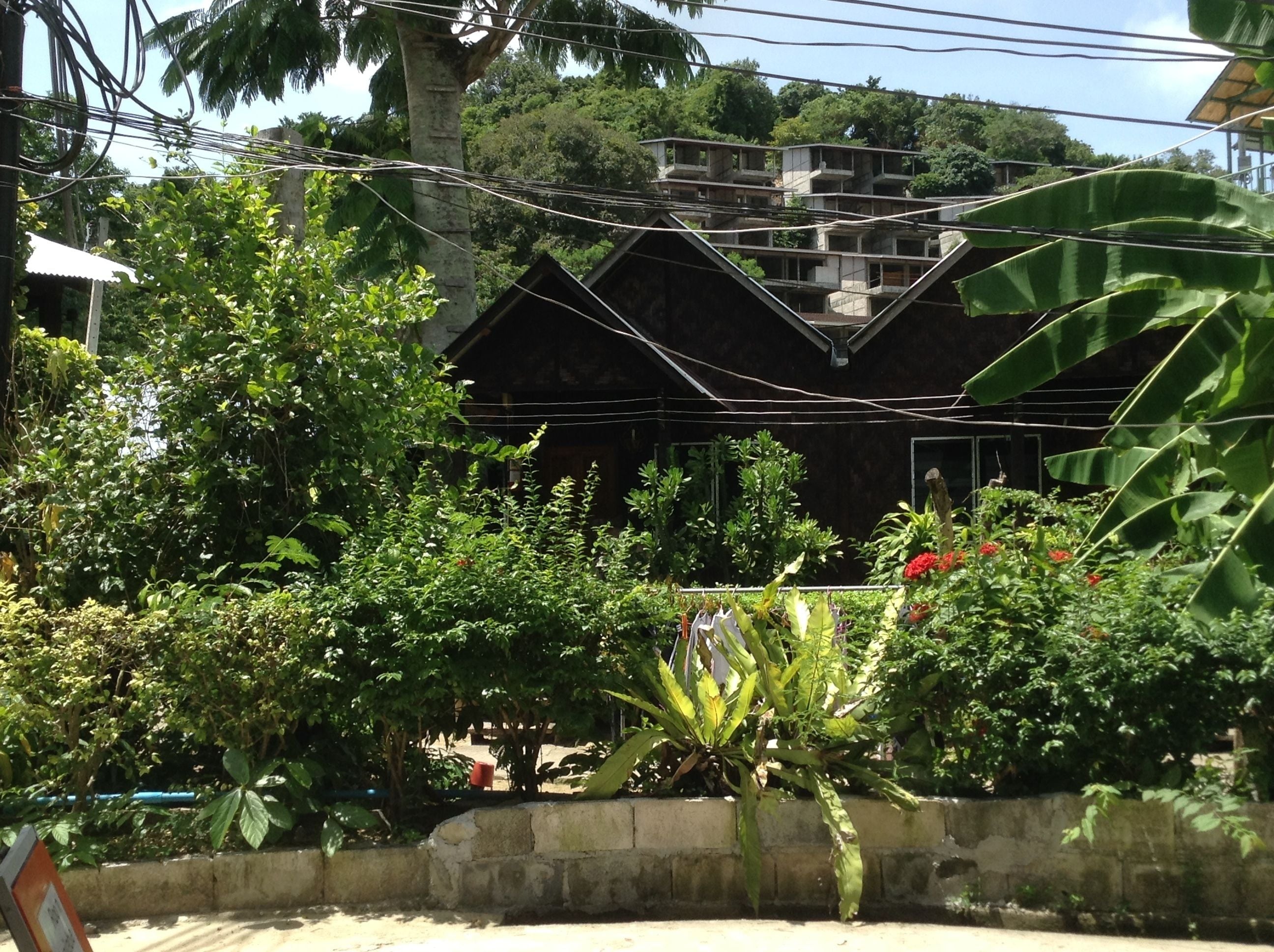 Utsikt från boendet