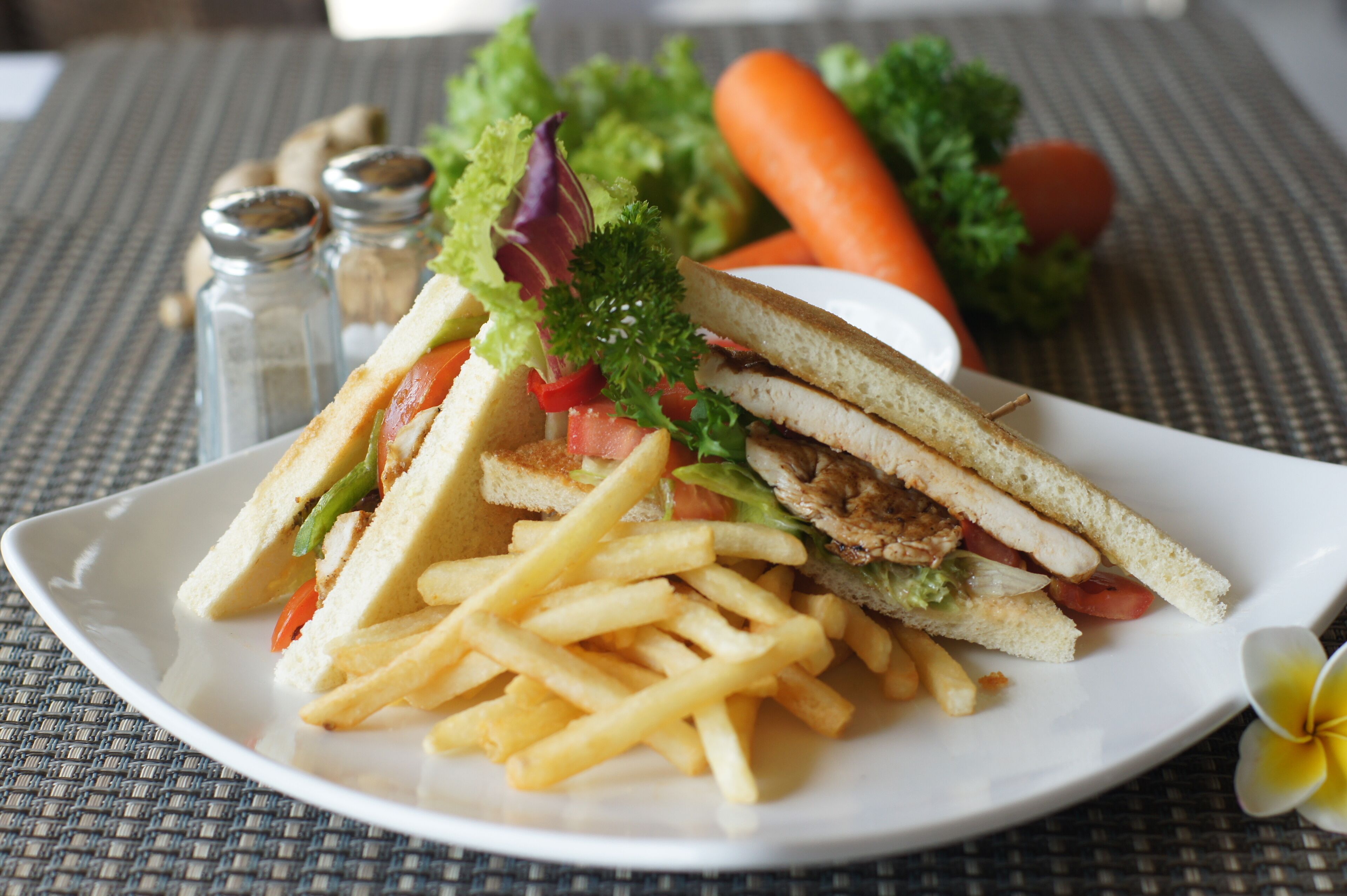 A plate with a sandwich and fries.