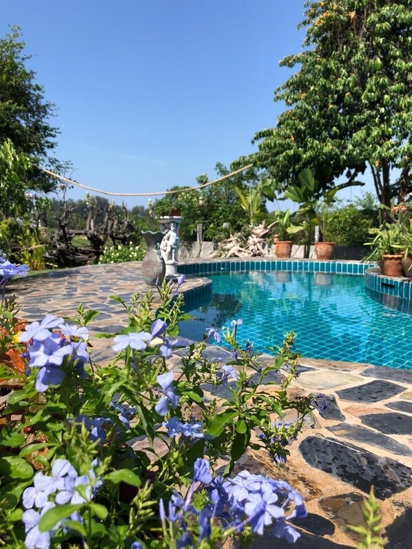 Szabadtéri medence, természetes medence, napernyők és napozóágyak