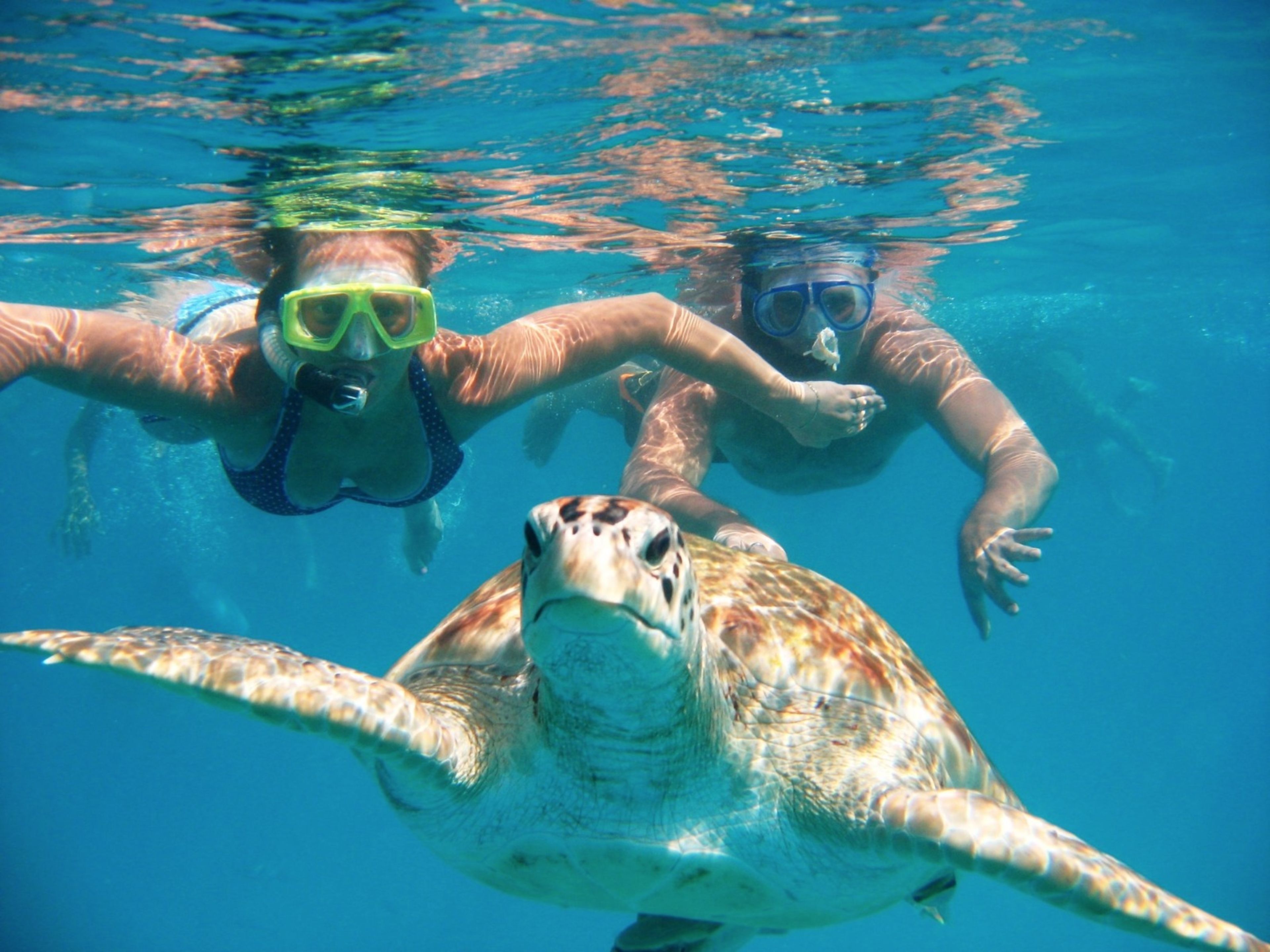 Dos personas haciendo snorkel con una tortuga marina.