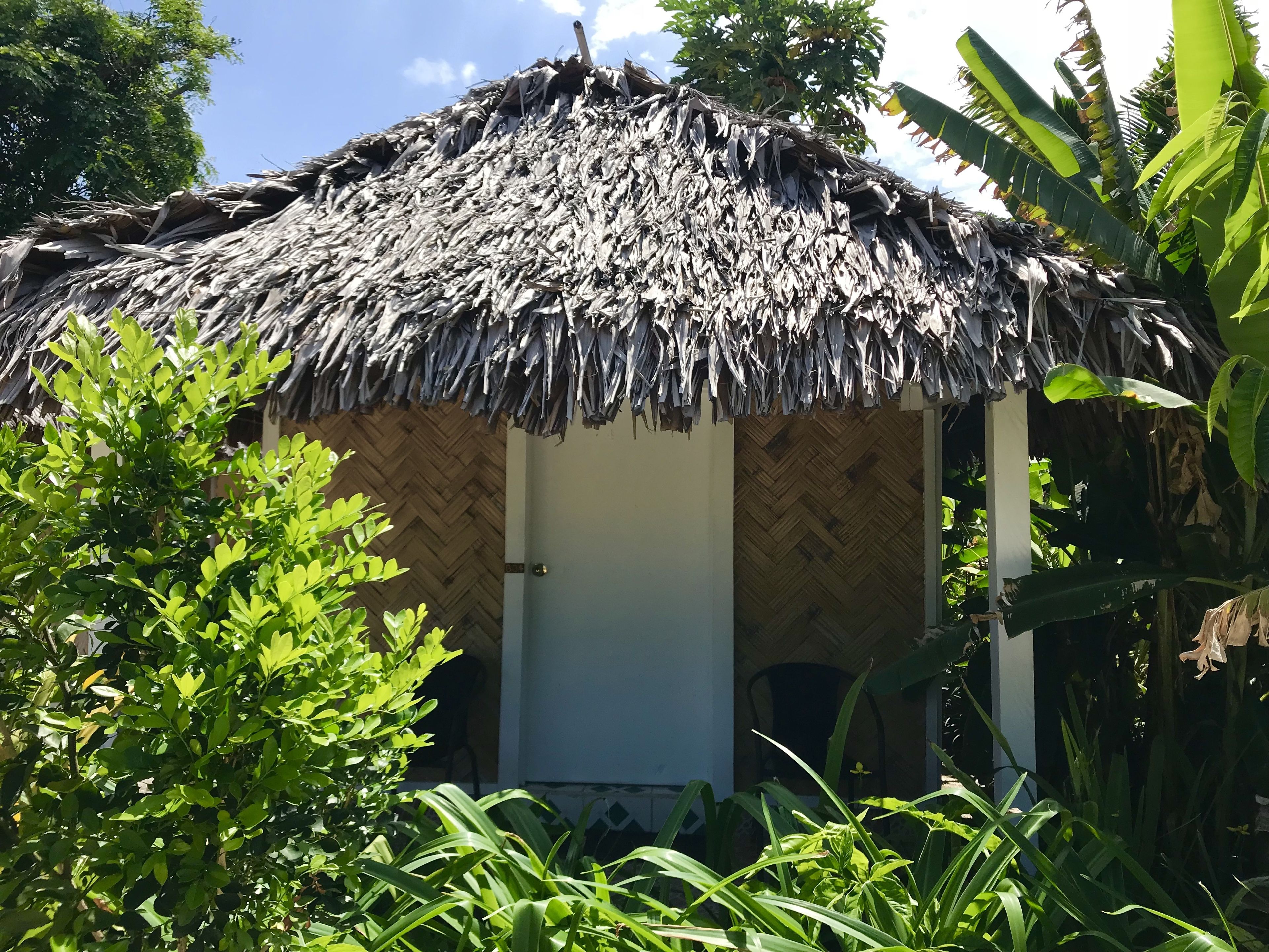 A thatched-roof hut with a wooden door and a small opening.