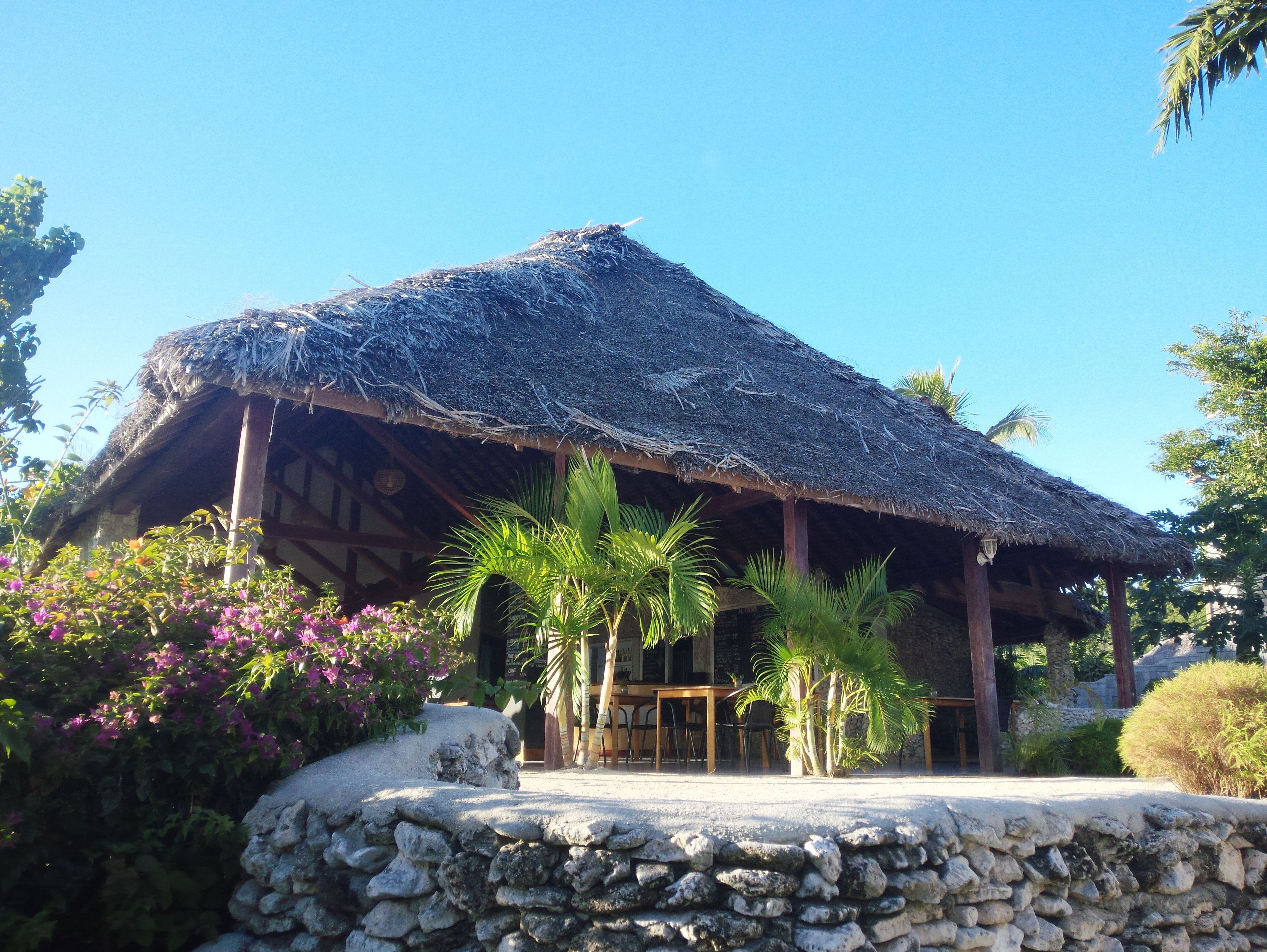 A thatched-roof building with a stone wall in front, surrounded by tropical plants and palm trees.