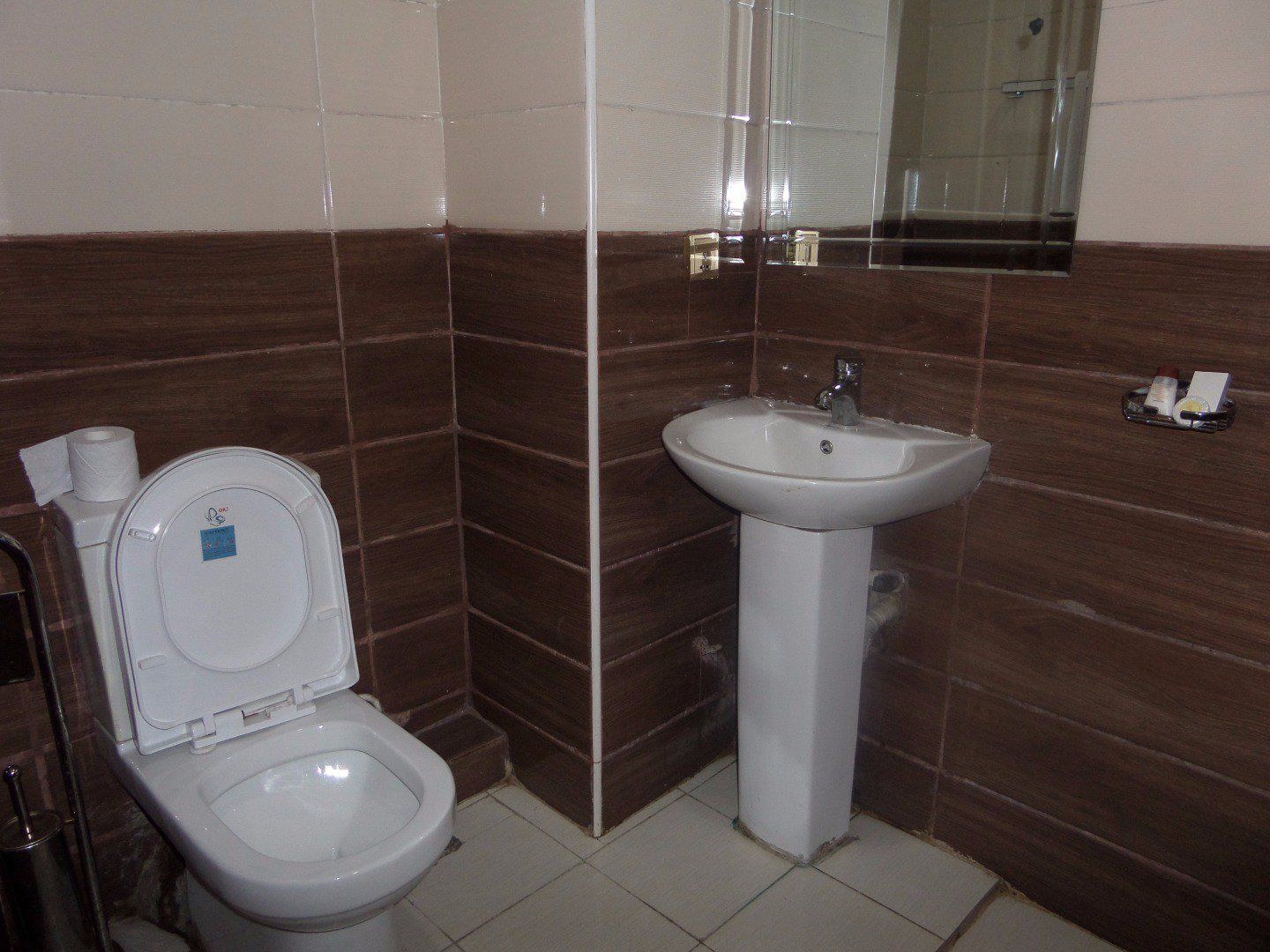 Ein Badezimmer mit Toilette, Waschbecken und Spiegel.
