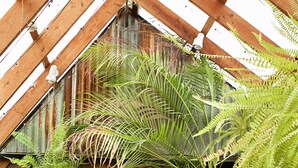 A rustic wooden structure with a green roof, surrounded by lush ferns and potted plants.